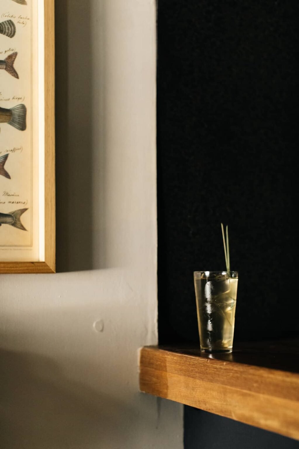 Baltra Bar — photograph 4 from the venue’s website