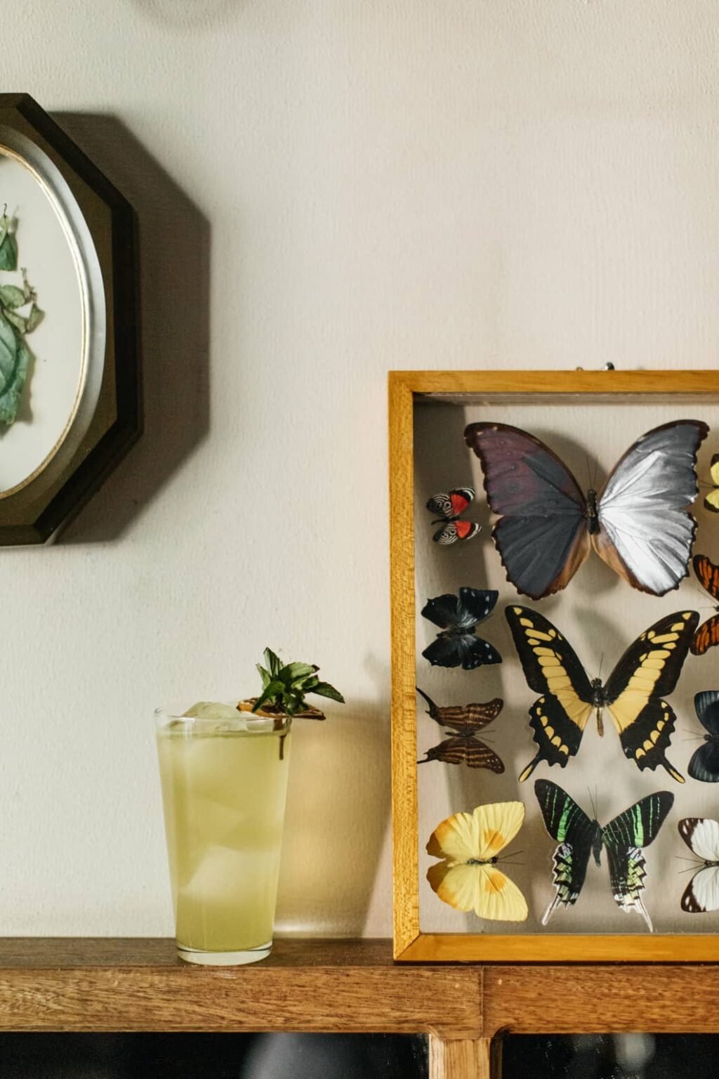 Baltra Bar — photograph 1 from the venue’s website